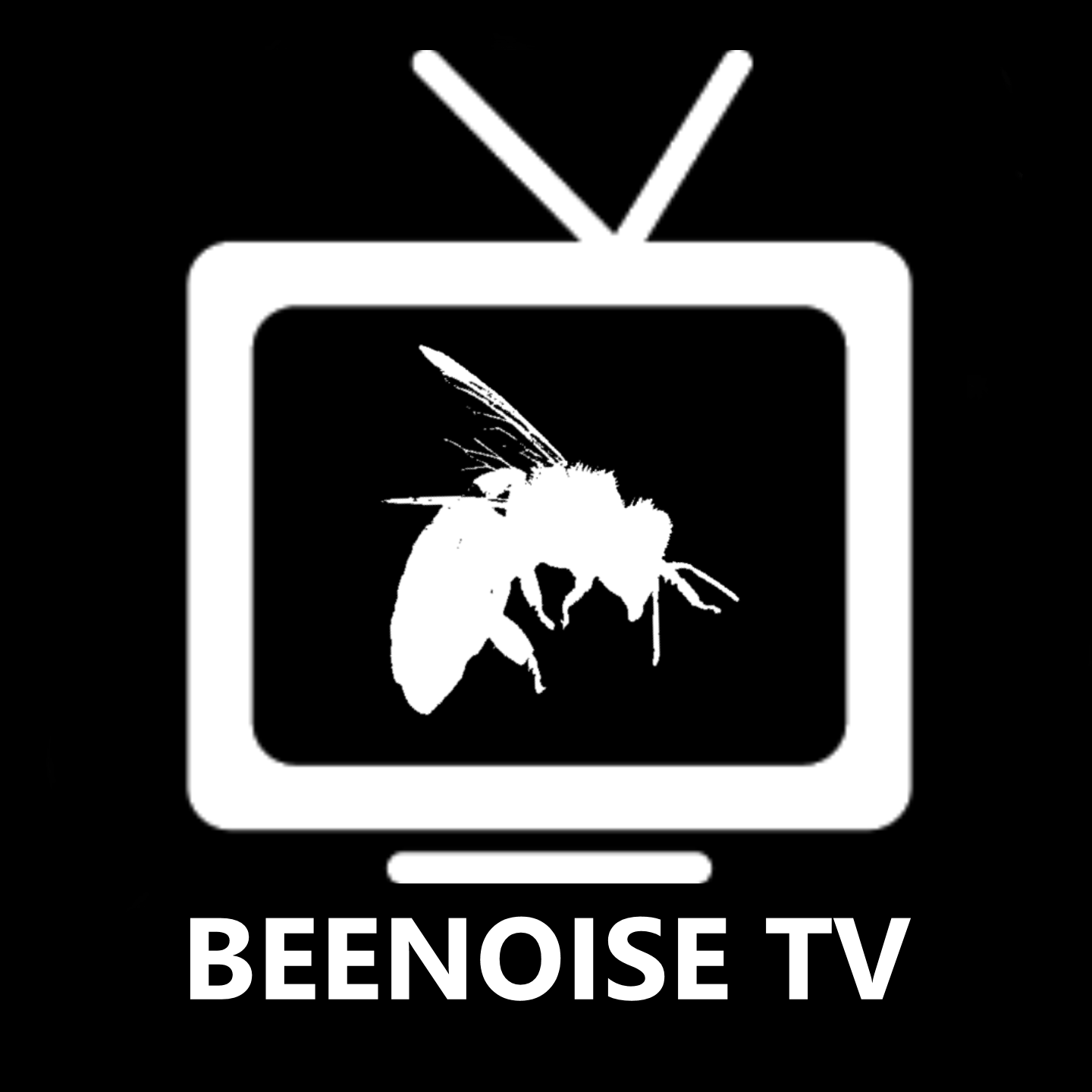 beenoise tv